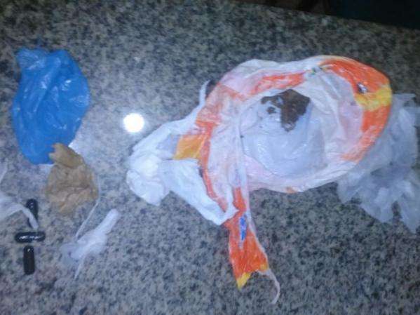 Jovem invade resid&ecirc;ncia e tenta esconder drogas no vaso sanit&aacute;rio