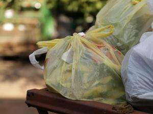 "Surpresas" no lixo provocam licença de 3 coletores por semana na Capital
