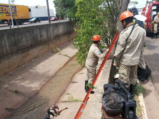 Morador de rua cai em rio e &eacute; resgatado inconsciente pelos bombeiros 