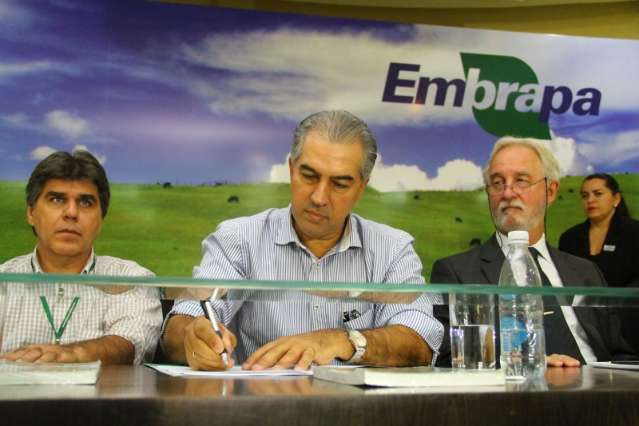 Aplica&ccedil;&atilde;o do projeto Estado Carbono Neutro vai come&ccedil;ar pela pecu&aacute;ria 