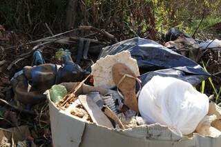 Na região do Itamaracá a quantidade de lixo jogado na área de preservação ambiental também é grande. (Foto: Gerson Walber)