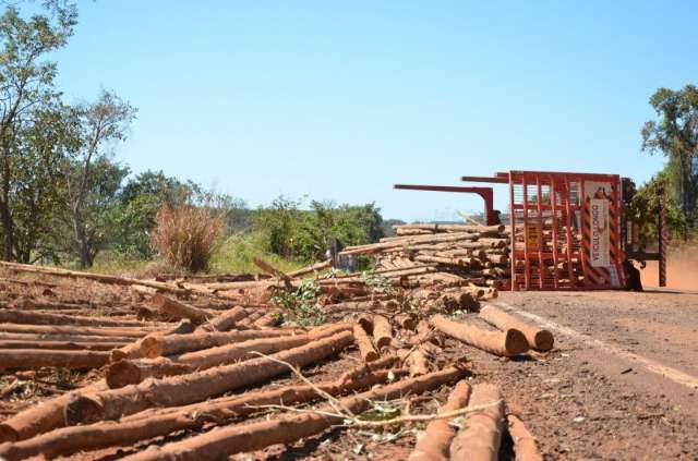 Treminh&atilde;o tomba durante madrugada e eucalipto atrapalha tr&aacute;fego na BR 262