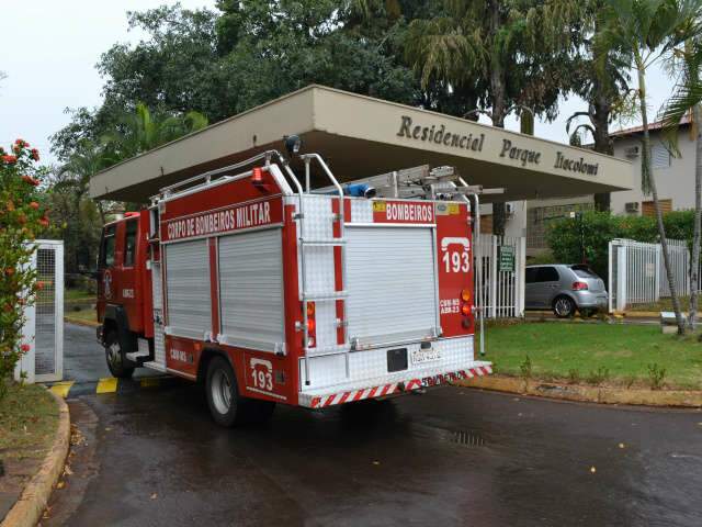  Ip&ecirc; de 20 metros cai sobre bloco de apartamentos no Carand&aacute; Bosque