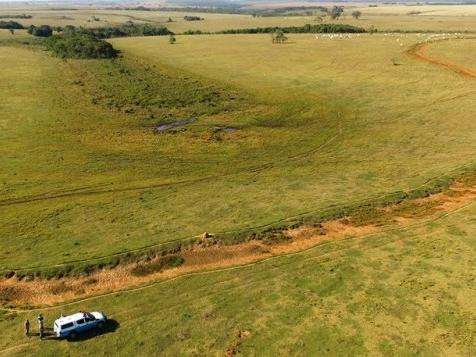 Empresa &eacute; multada em R$ 195,4 mil por manter gado em &aacute;rea de preserva&ccedil;&atilde;o