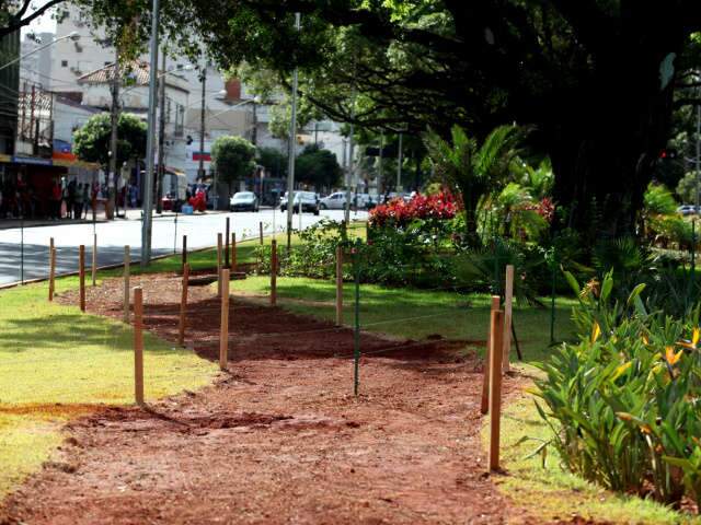  Audi&ecirc;ncia p&uacute;blica discute hoje ciclovia na avenida Afonso Pena 