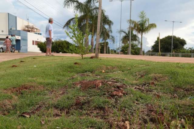 D&iacute;vidas, falta de sede pr&oacute;pria e at&eacute; chuva nos ensaios afetam escolas