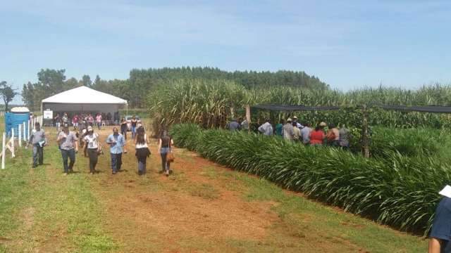 Feira apresenta tecnologias para melhorar rendimento e produ&ccedil;&atilde;o no campo