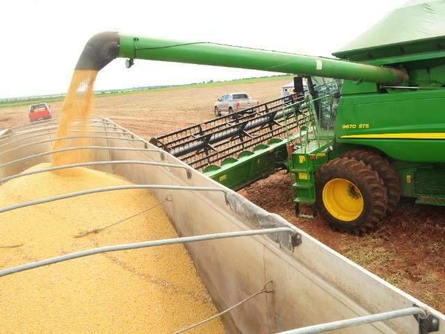 Log&iacute;stica atrapalha e exporta&ccedil;&otilde;es de soja de MS para China caem 2%