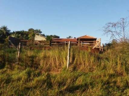 Construção de casa em área de preservação rende multa de R$ 20 mil