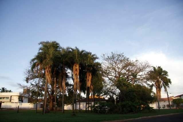 C&eacute;u amanhece aberto nesta sexta, mas pode ter chuva com trovoadas