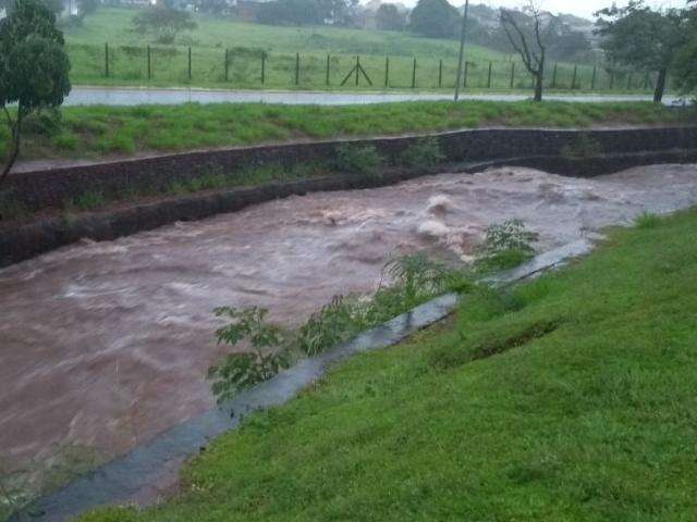 Em poucos minutos, chuva forte enche c&oacute;rregos e alaga ruas