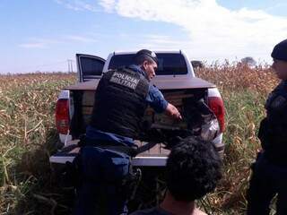 Caminhonete com maconha parou em milharal e traficante foi preso (Foto: Divulgação)