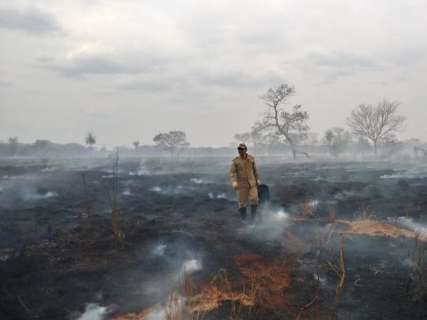 Moradores fazem força-tarefa contra fogo e trator é destruído por chamas