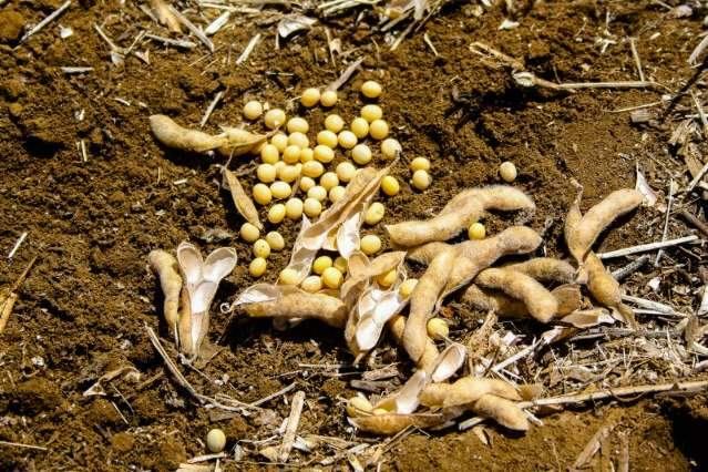 Crescimento &eacute; menor, mas valor bruto da agropecu&aacute;ria chega a R$ 27 bi