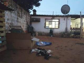 No São Conrado, na Capital, filhotes de cão morreram de calor (Foto: Direto das Ruas)