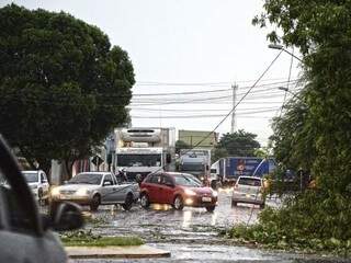Ventos derrubaram árvores e fios em Corumbá (Diário Corumbaense)