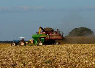Produção de milho aumentou 130% em cinco anos. (Foto: Aprosoja/MS/Divulgação)