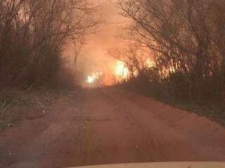 Estrada no Chaco paraguaio, em região consumida pelas chamas nos últimos dias. (Foto: Carlos Almirón/ABC Color)