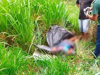 Homem &eacute; morto a golpes de machado na cabe&ccedil;a e corpo jogado em matagal