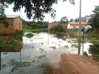 Água do rio avança sobre casas de ribeirinhos em Miranda; excesso de chuva provocou alagamentos em imóveis rurais da região (Foto: Amarildo Arguelho)