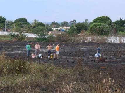 Incêndio recomeça e vizinhos o controlam com trabalho 'formiguinha'