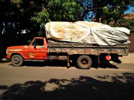 Polícia apreende caminhão com carga de carvão originado de madeira nativa