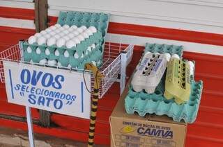 Ovos tem padrão de qualidade Sato (Foto: Alcides Neto)