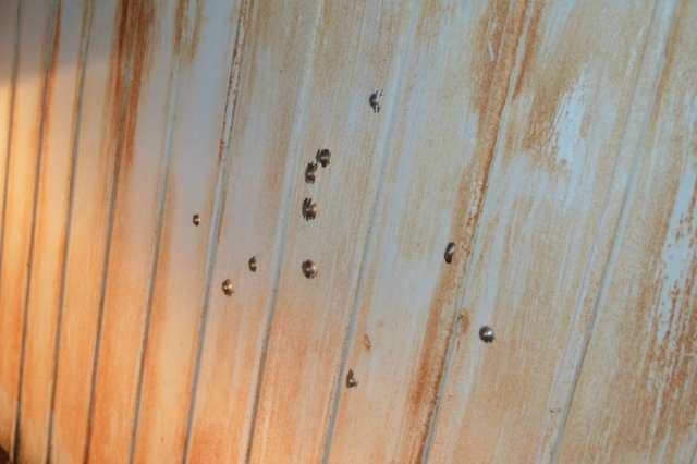 Homem dispara 12 tiros de espingarda e prefeito sai ileso de atentado