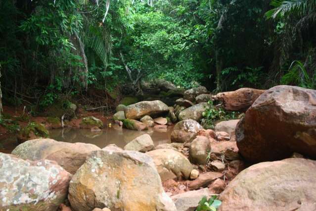 Mais de 90% dos propriet&aacute;rios n&atilde;o fizeram Cadastro Ambiental Rural