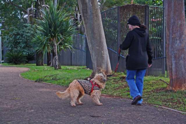 Sexta amanhece com sensa&ccedil;&atilde;o de 2&deg;C e m&aacute;xima n&atilde;o passa dos 17&deg;C