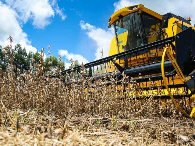 Colheita da soja j&aacute; chega pr&oacute;ximo de um quarto da &aacute;rea plantada em MS