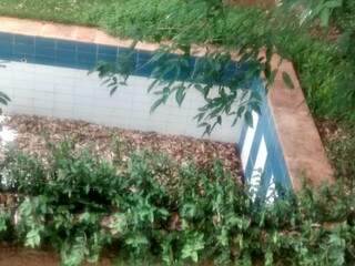 A água que se acumula ao fundo da piscina serve como criador de mosquitos, inclusive da dengue.(Foto:Direto das Ruas)