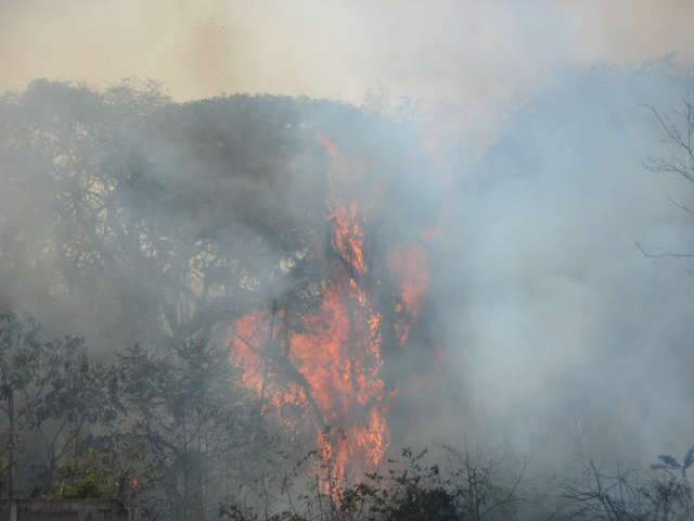  Inc&ecirc;ndio atinge reserva do Ex&eacute;rcito na regi&atilde;o Norte em Campo Grande