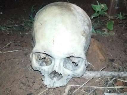Crânio humano é encontrado em lavoura de mandioca e polícia investiga