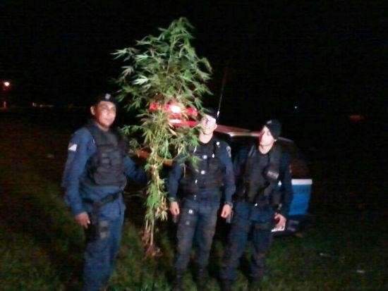 Dois homens s&atilde;o presos com p&eacute;s de maconha no Aero Rancho
