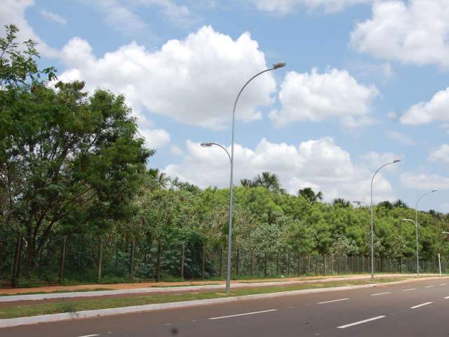  Novo horto florestal vai quadruplicar produ&ccedil;&atilde;o de mudas na Capital