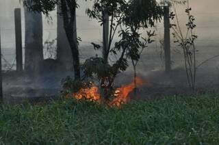 No caminho para Sidrolândia haviam vários focos de incêndio. (Foto: Marcelo Calazans)