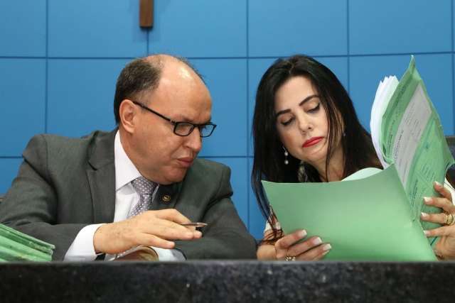 Deputada busca apoio de colegas para evitar arquivamento de projeto