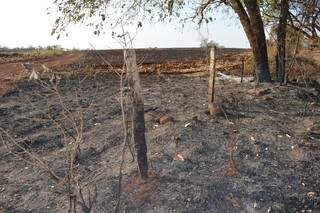 Incêndio se espalhou por cerca de 5 km e atingiu cerca de 2 mil hectares ao longo da Serra de Maracaju (Simão Nogueira)