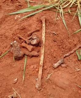 Ossada que estava enterrada no ‘cemitério particular’ de ‘Nando’ (Foto: Polícia Civil/Divulgação)