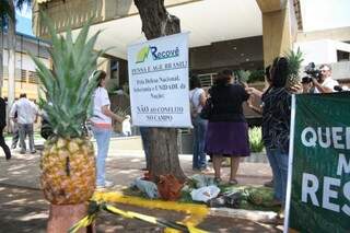Ong que representa produtores levaram abacaxis para manifesto (Foto: Marcos Ermínio)
