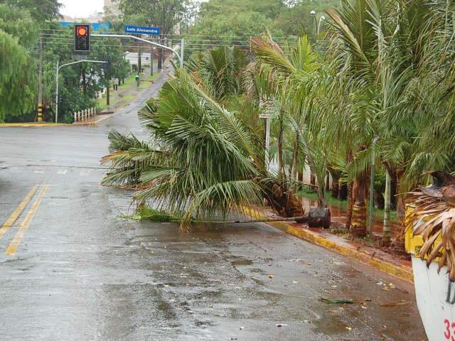  Ventania atinge 74 km/h e causa transtornos em Campo Grande