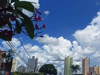 Inmet prevê termômetros entre 22°C e 33°C neste domingo, em Campo Grande (Foto: Kísie Ainoã)