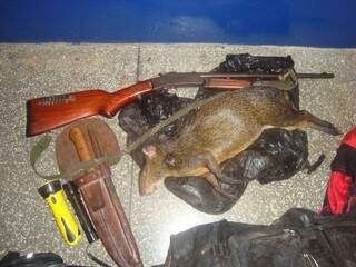 Pela morte da cotia, caçador terá de desembolar R$ 500,00. (Foto: Divulgação/PMA)