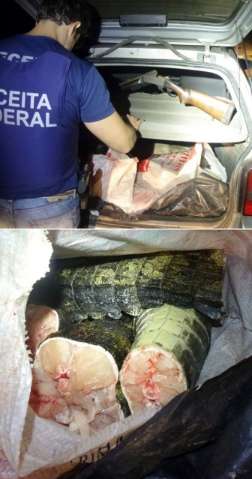 Receita apreende 1,5 tonelada de roupas de marcas famosas falsificadas