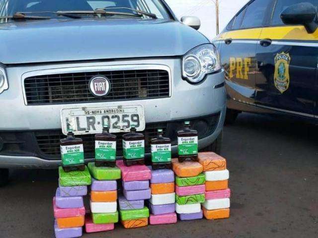 Casal &eacute; preso levando 37 quilos de coca&iacute;na para Santa Catarina