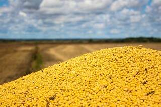 Preço médio da saca de soja valorizou 41% em relação a safra passada. (Foto: Marcos Ermínio/ Arquivo)