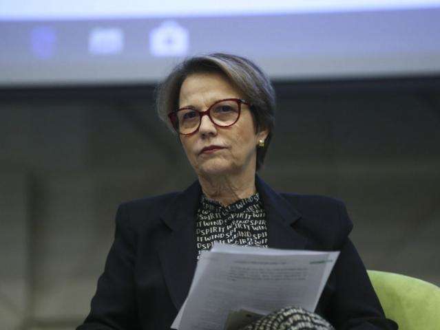 Agroneg&oacute;cio brasileiro &eacute; o mais sustent&aacute;vel do mundo, diz ministra