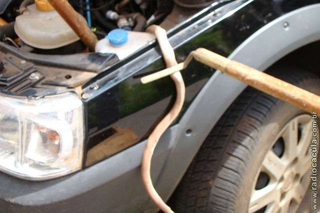  Cobra escondida em motor assusta motorista em Tr&ecirc;s Lagoas