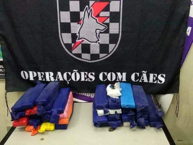 Jovem de MG e travesti s&atilde;o flagrados com maconha em &ocirc;nibus abordados pela PM 